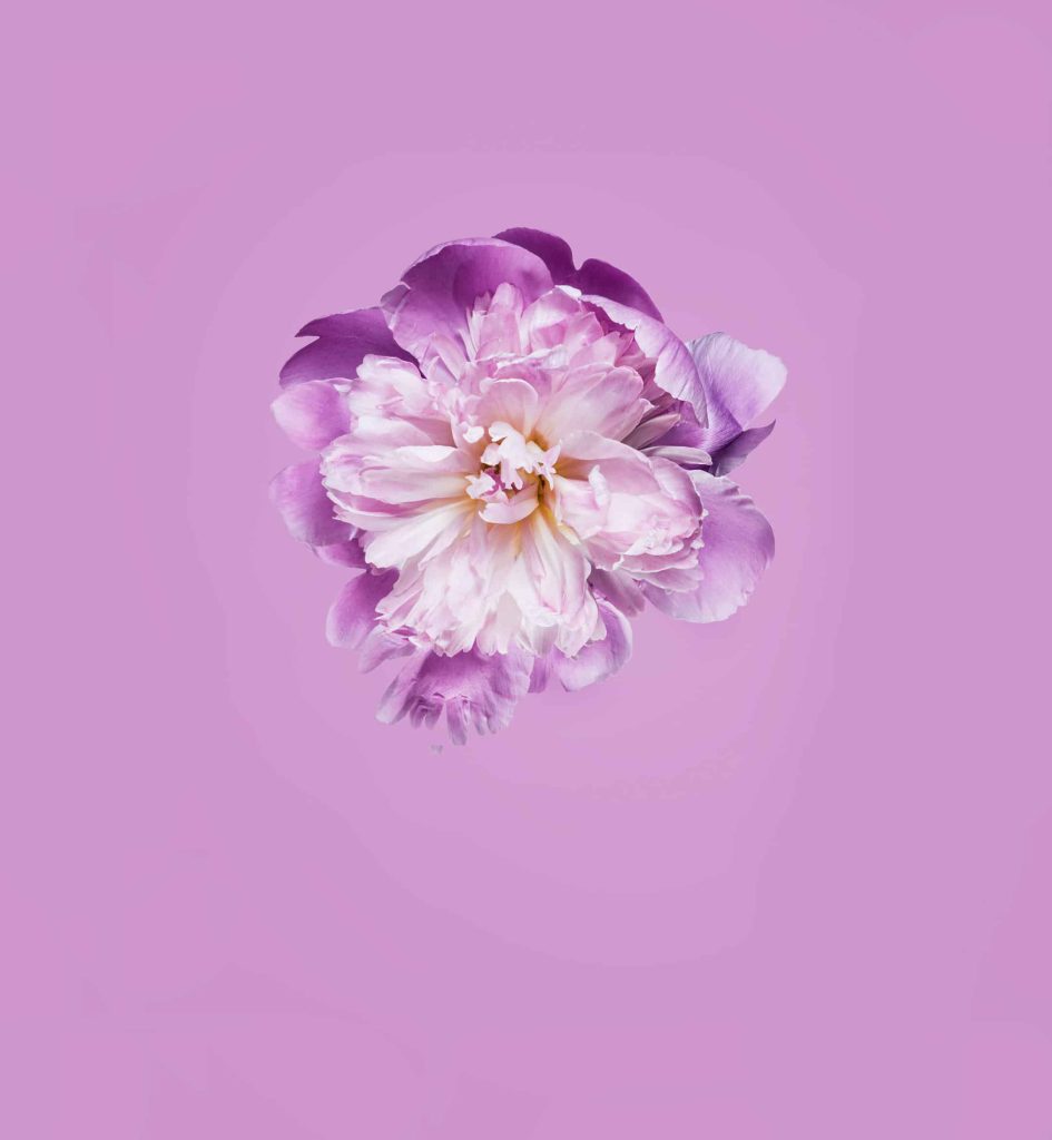 Honor Play Wallpapers