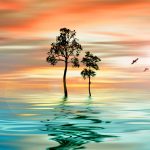 Huawei Nova 4 Stock Wallpapers