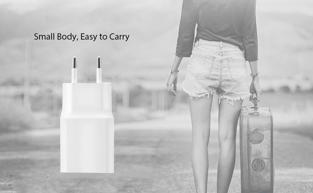 Xiaomi Original Charger