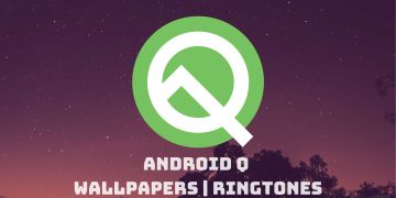 Download Android Q Stock Wallpapers and Ringtones
