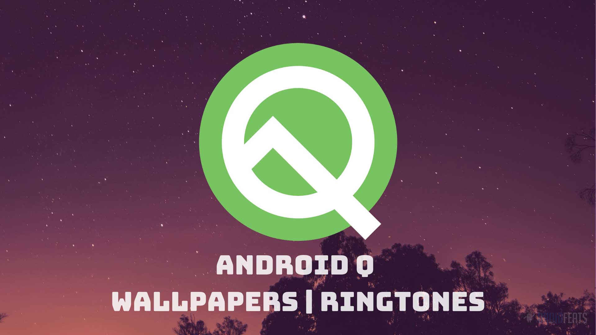 Download Android Q Stock Wallpapers and Ringtones