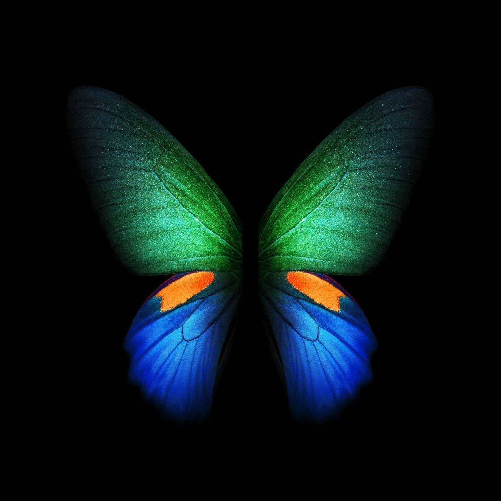 Galaxy Fold Stock wallpaper