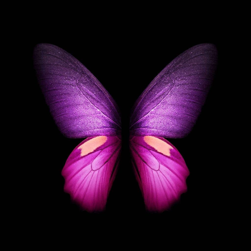 Galaxy Fold Stock wallpaper