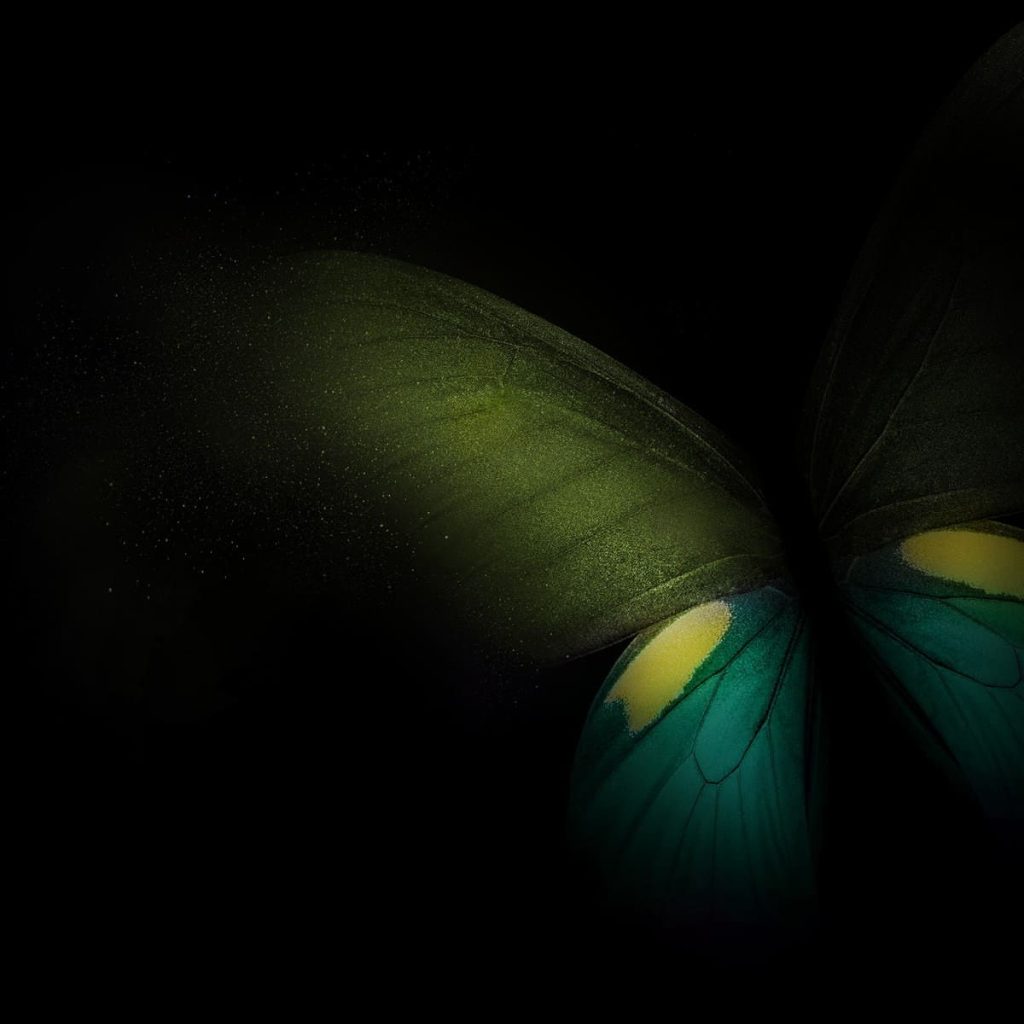 Galaxy Fold Stock wallpaper